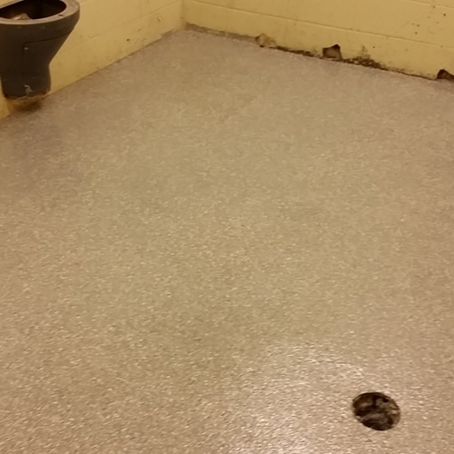 Terrazzo after service