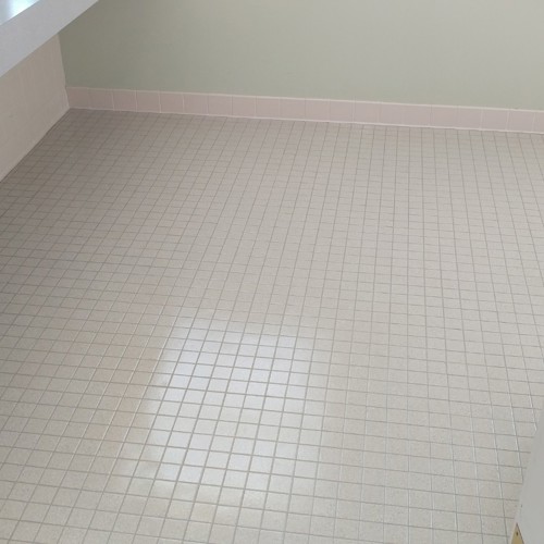 Ceramic (tile and grout) after service
