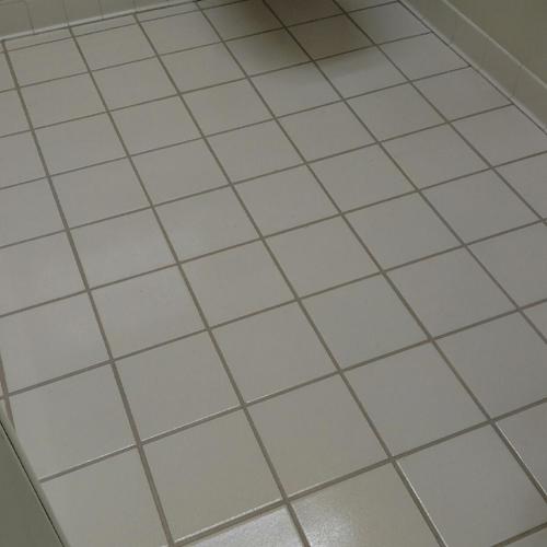 Ceramic (tile and grout) after service