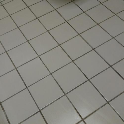 Ceramic (tile and grout) before service