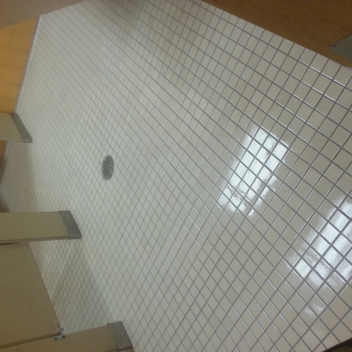 Ceramic (tile and grout) after service
