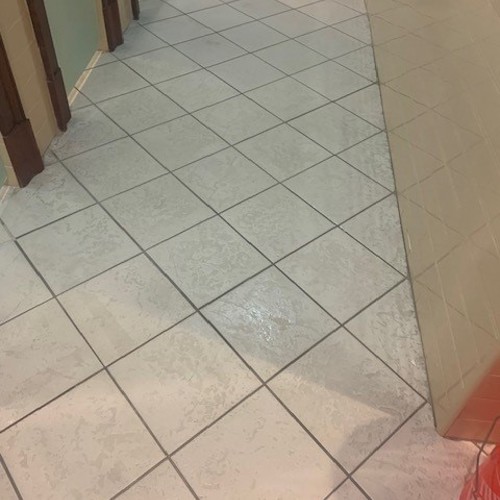 Ceramic (tile and grout) before service