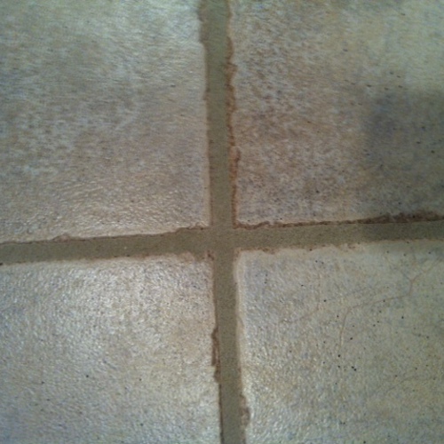 Ceramic (tile and grout) after service