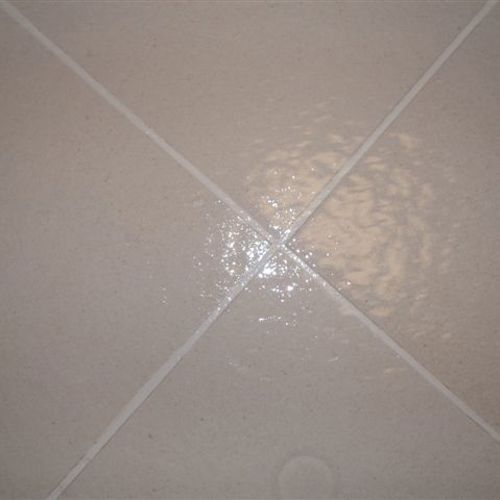 Ceramic (tile and grout) after service