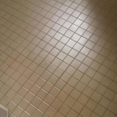 Ceramic (tile and grout) before service