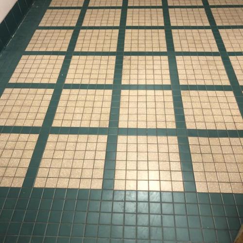 Ceramic (tile and grout) before service