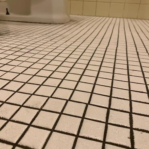 Ceramic (tile and grout) before service