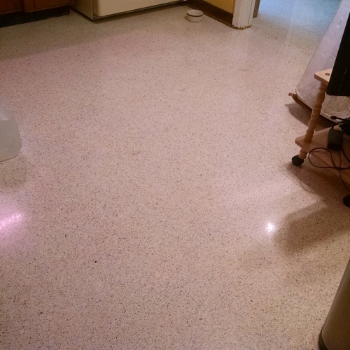 Terrazzo after service