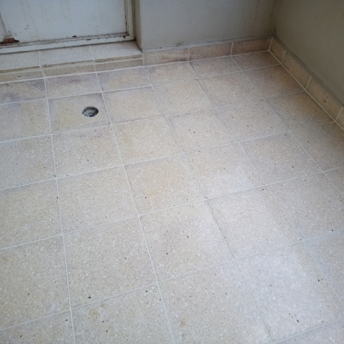 Terrazzo after service
