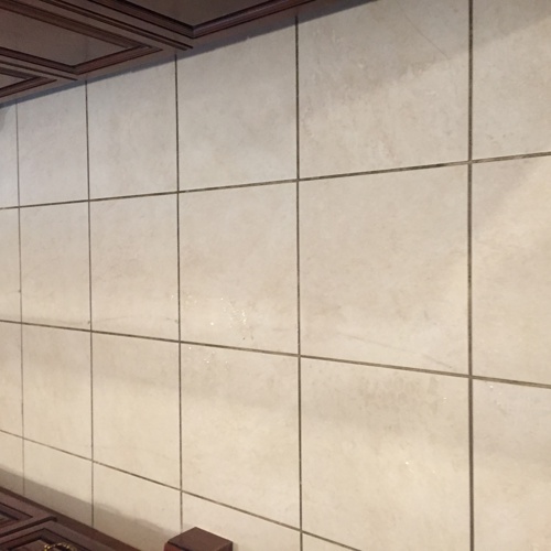 Ceramic (tile and grout) before service