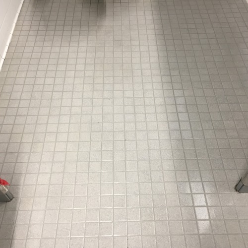 Ceramic (tile and grout) after service