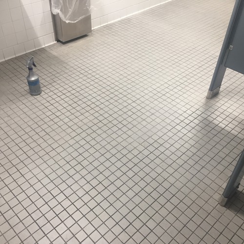 Ceramic (tile and grout) before service