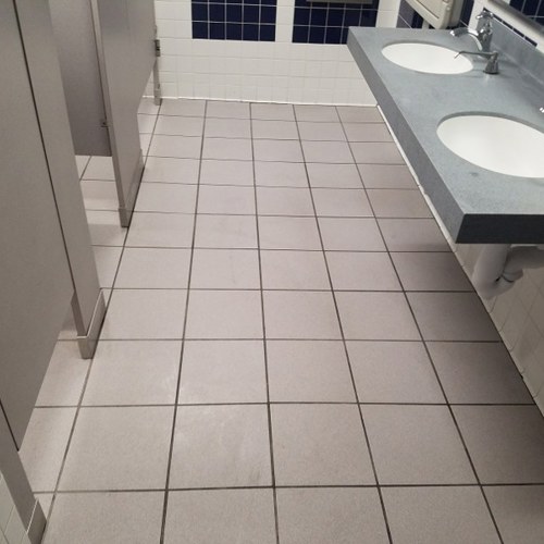 Ceramic (tile and grout) before service